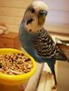 IMG_20210729_214555.jpg