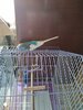 IMG_20210808_095019.jpg