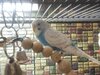 IMG_20210824_181418.jpg