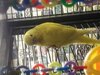 IMG_20210824_181517.jpg