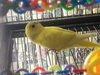 IMG_20210824_181521.jpg
