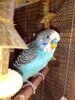 IMG_20210829_143358.jpg