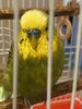 C9362731-DE88-4F09-A49D-9B11389A3495.jpeg