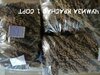 IMG_20210920_165730.jpg