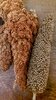 IMG-20211023-WA0095.jpeg