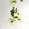 imgonline-com-ua-Resize-cm-mm-inch-6IkOuDPwVW33l8fz.jpg