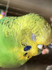 IMG_0672.jpeg