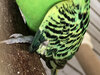 IMG_0667.jpeg