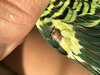 IMG_0679.jpeg