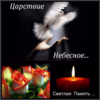 12f66dd1f788d7a5f268c14fc327a2ee.png