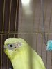 IMG_20211126_213130.jpg