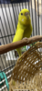 E7EBF2C8-FFBB-44FE-92A0-A9B9DFA80128.png