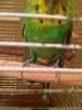 IMG_20211129_211926.jpg