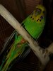 IMG_20211129_211628_263.jpg