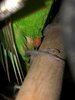 IMG_20211129_211612_448.jpg