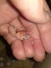 IMG_20211202_225227.jpg