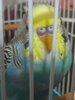 IMG_20211219_200309.jpg