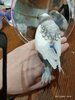 изображение_viber_2021-12-25_08-27-57-620.jpg