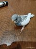 изображение_viber_2021-12-25_08-28-18-005.jpg