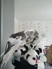 IMG_20211227_130930.jpg