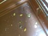 IMG_20220114_161814.jpg