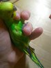 IMG_20220114_162102.jpg