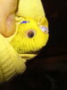 20220116_113129.jpg