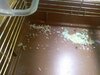 IMG_20220118_191054.jpg