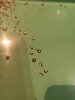 IMG_20220203_184520.jpg