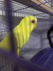 1F1CF0E3-8835-4E46-9F73-FD50D519575C.jpeg