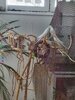 20220403_081332.jpg