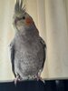 20220412_115526.jpg