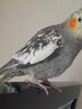 20220412_115537.jpg