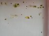 IMG_20220415_130504.jpg