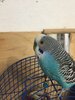 55689FDA-58D0-4254-BBAD-0304AFD4D294.jpeg