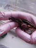 20220531_211726.jpg