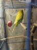 IMG_20220617_003428.jpg