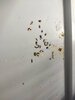 IMG_20220616_221740.jpg