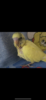 E8E3EA04-3AF0-4C03-B194-46EC465E9CC8.png