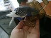 IMG_20220719_184428.jpg