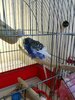 IMG_20220720_181940.jpg