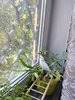IMG_20220723_164630.jpg
