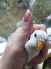 IMG_20220727_164753.jpg
