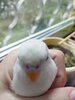IMG_20220727_164518.jpg