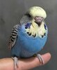 IMG_20220807_071653_375.jpg