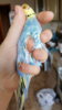 20160403_080241.jpg