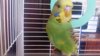 20160405_153338.jpg