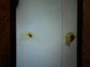 DSCN5489.JPG