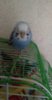 IMG-20160411-WA0030.jpeg