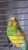20160411_122830.jpg